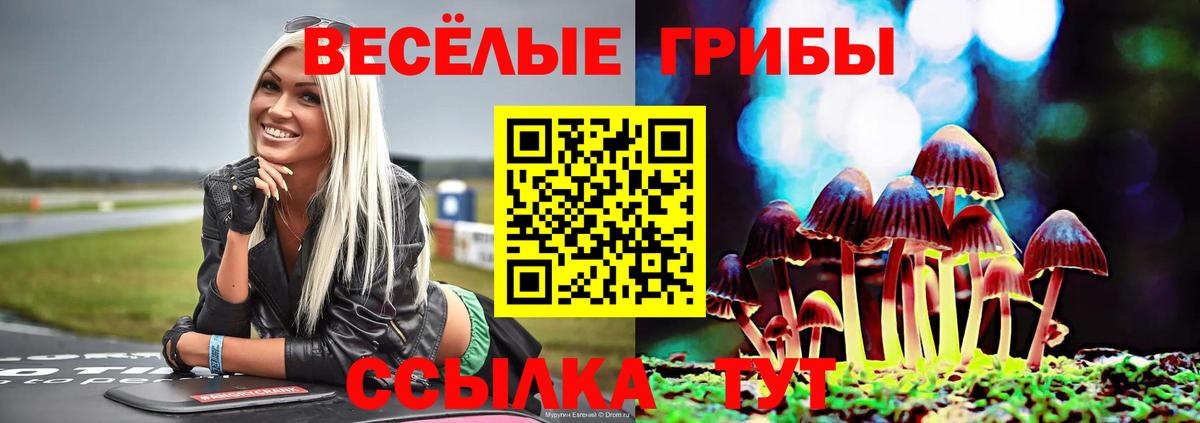 Галлюциногенные грибы Psilocybe Гулькевичи